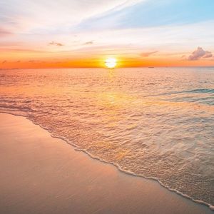 Meet your Posher, Lynn